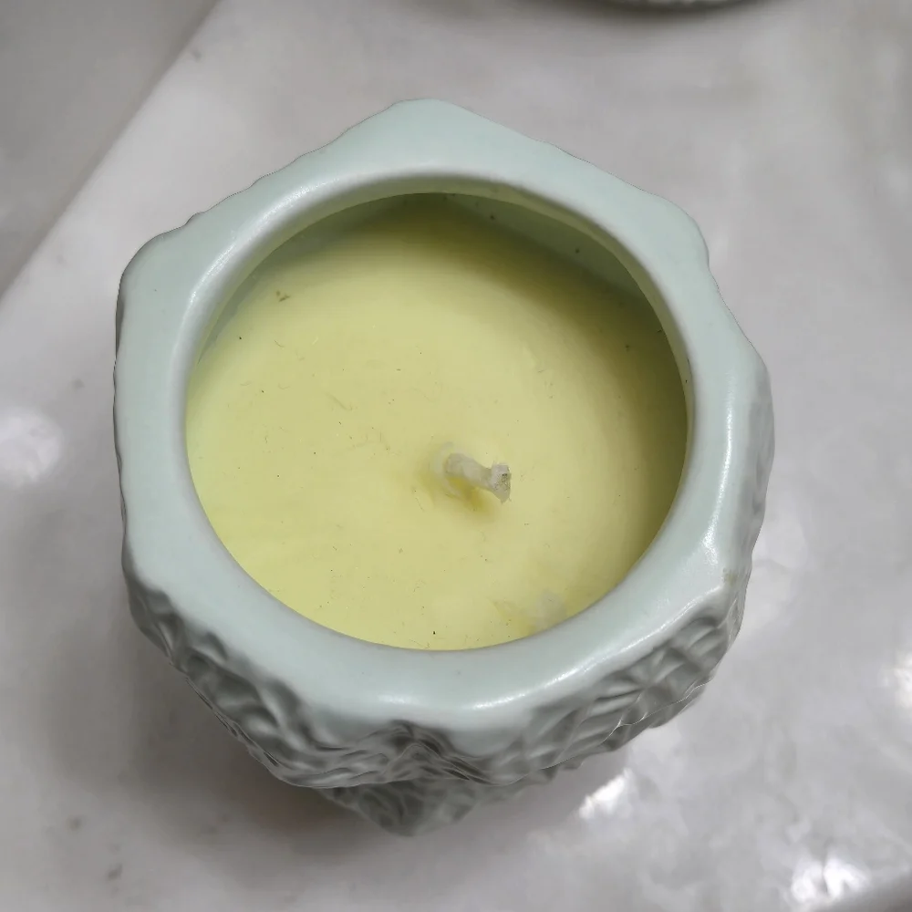 Anthropologie Seagrass & Cucumber Pastel Mint Green Candle